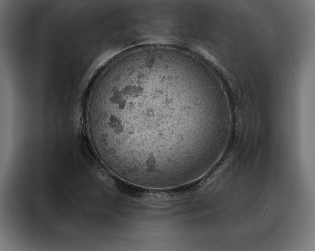 X0000088161215200705221554
