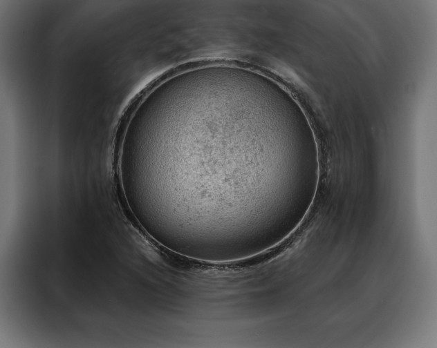X0000088161216200705221554