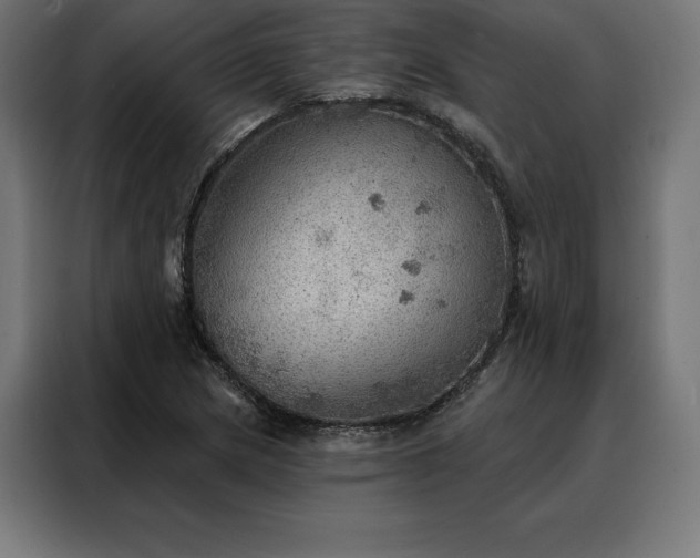 X0000088161217200705221554