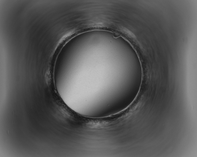 X0000088161218200705221554