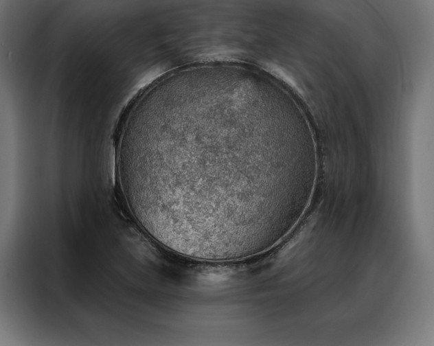 X0000088161219200705221554