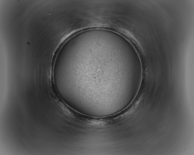 X0000088161220200705221554