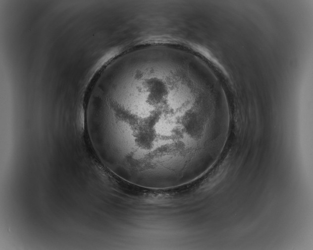X0000088161221200705221554
