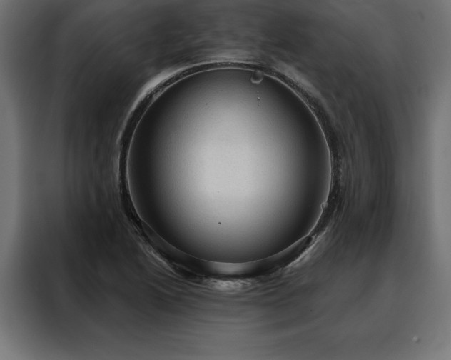 X0000088161222200705221554