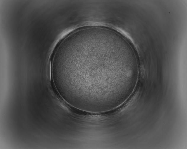 X0000088161223200705221554