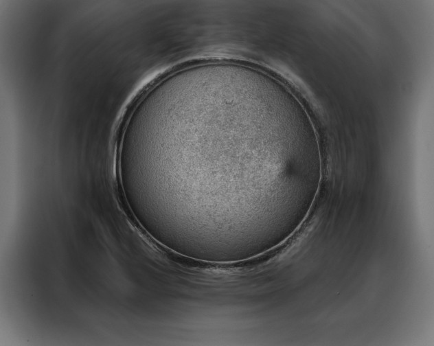 X0000088161224200705221554