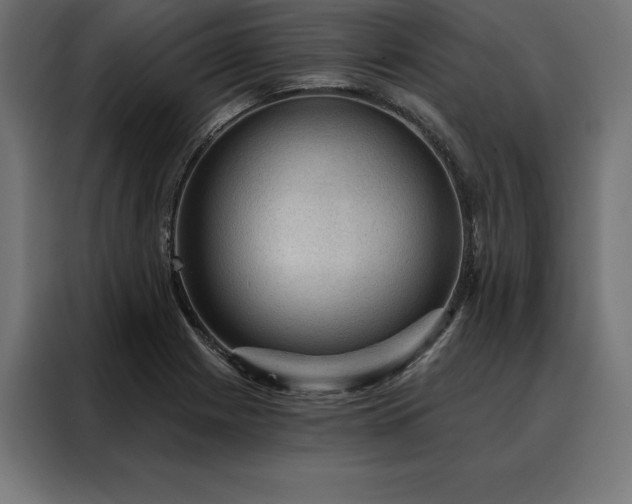 X0000088161225200705221554