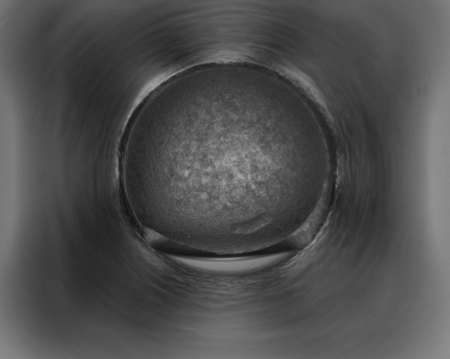 X0000088161226200705221554