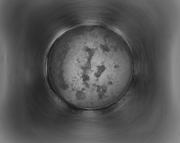 X0000088161227200705221554