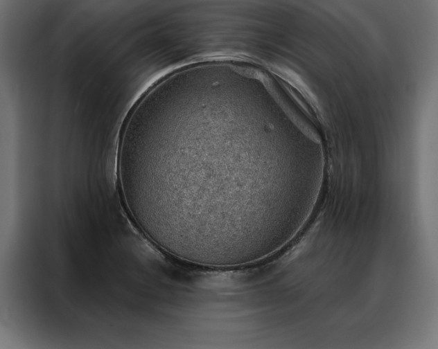 X0000088161228200705221554