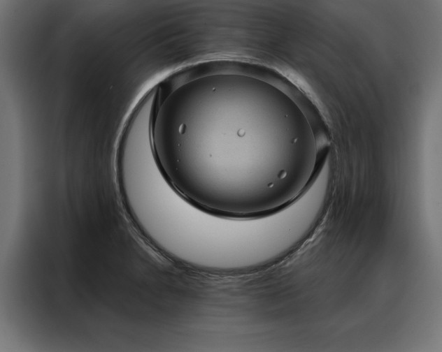X0000088161230200705221554