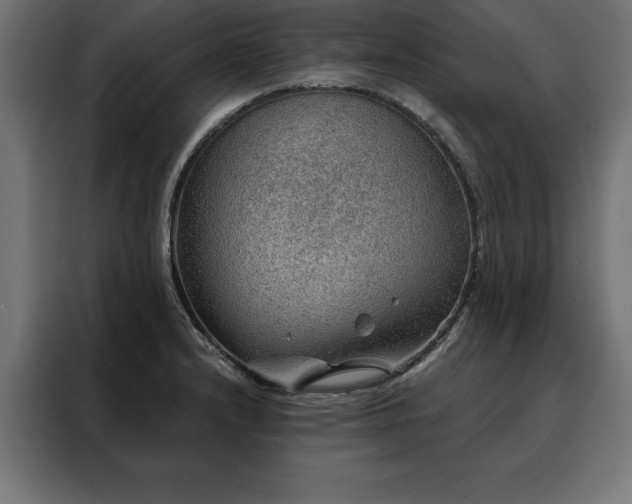 X0000088161232200705221554