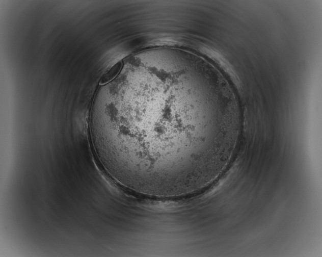 X0000088161233200705221554
