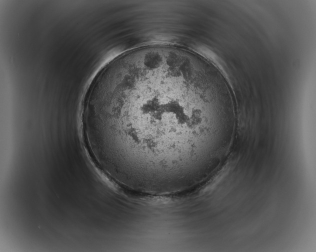 X0000088161235200705221554