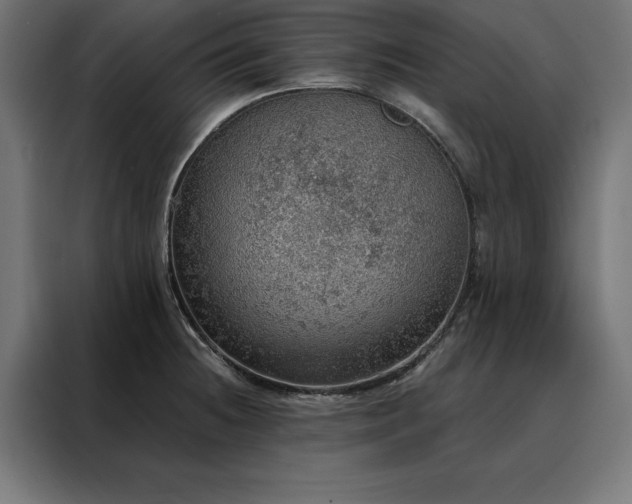 X0000088161236200705221554