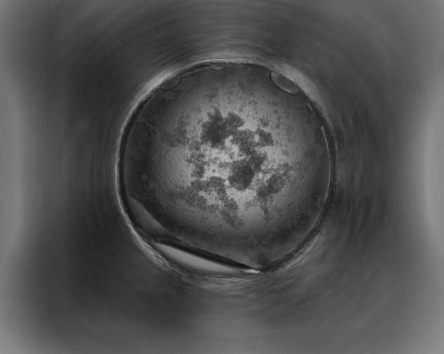 X0000088161237200705221554