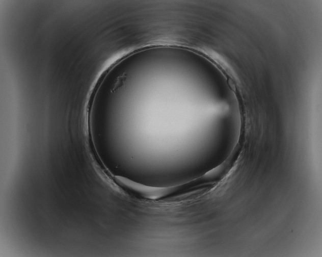 X0000088161238200705221554