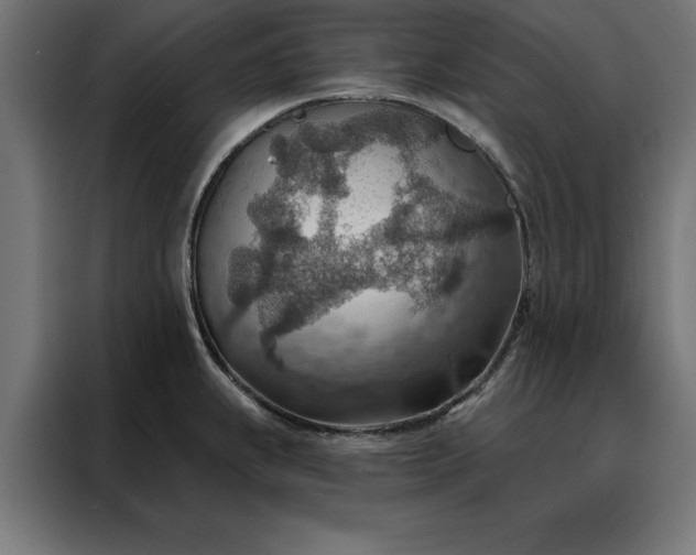 X0000088161239200705221554