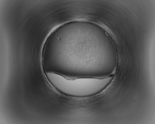 X0000088161240200705221554