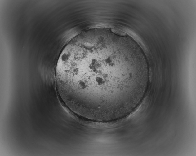 X0000088161241200705221554