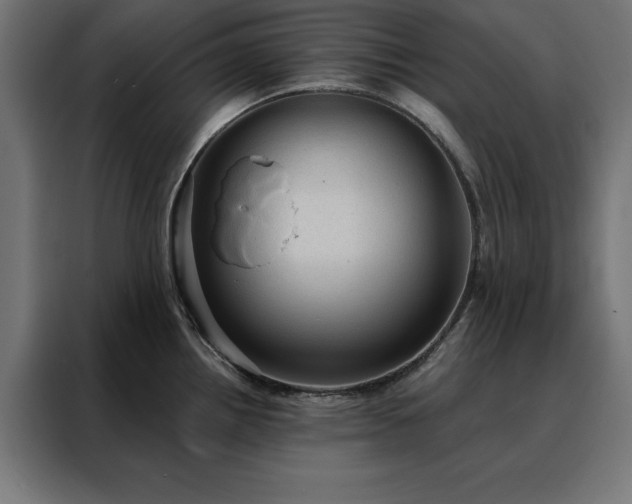 X0000088161242200705221554