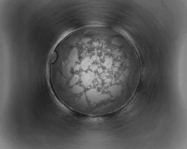 X0000088161243200705221554