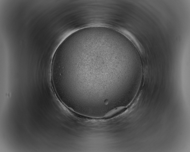X0000088161244200705221554