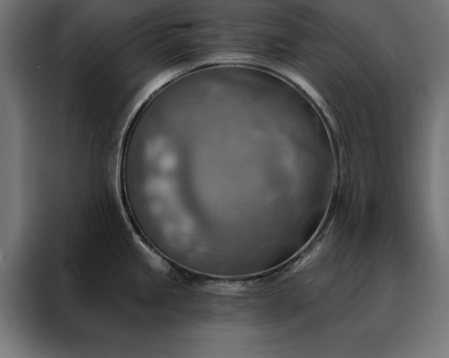 X0000088161245200705221554