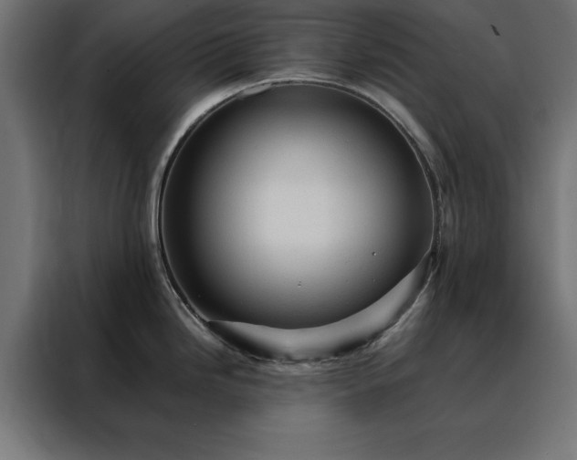 X0000088161246200705221554