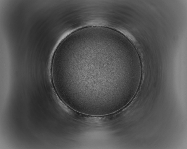 X0000088161248200705221554
