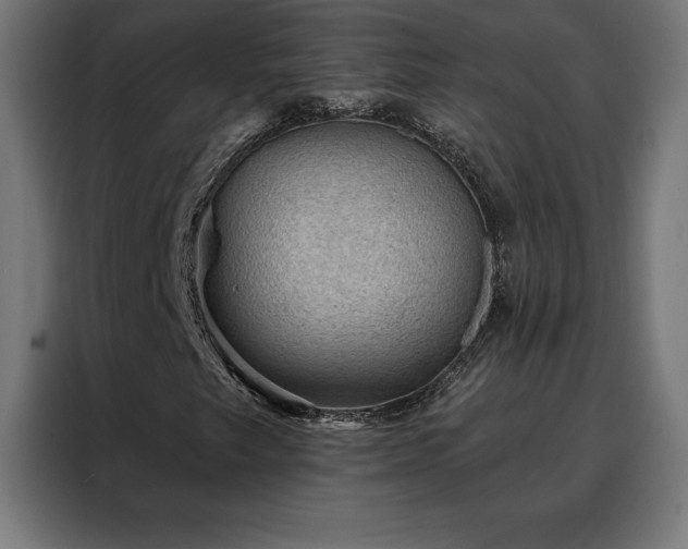 X0000088161249200705221554