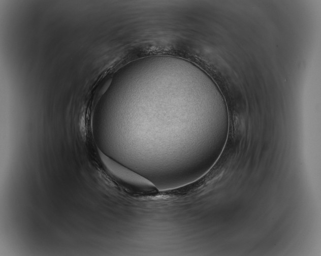 X0000088161250200705221554