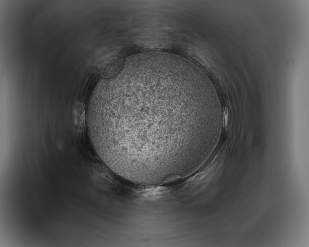 X0000088161251200705221554