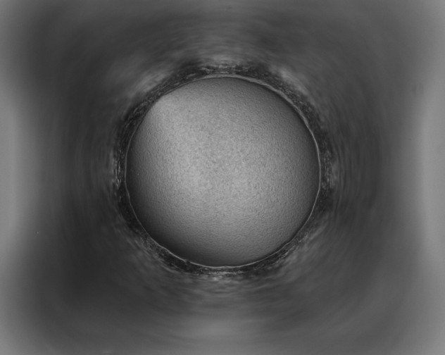 X0000088161253200705221554