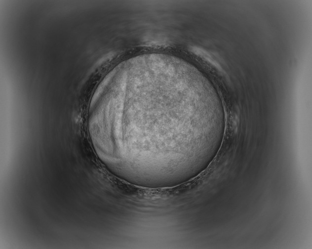 X0000088161254200705221554