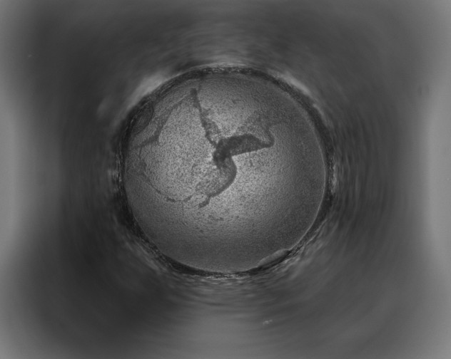 X0000088161255200705221554