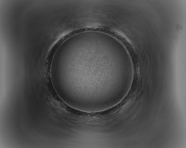 X0000088161256200705221554