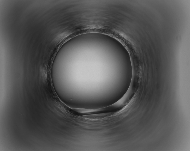 X0000088161257200705221554
