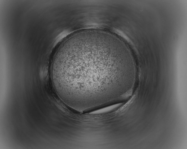X0000088161259200705221554