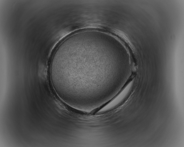X0000088161260200705221554