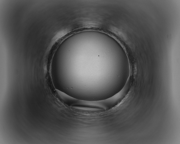 X0000088161261200705221553