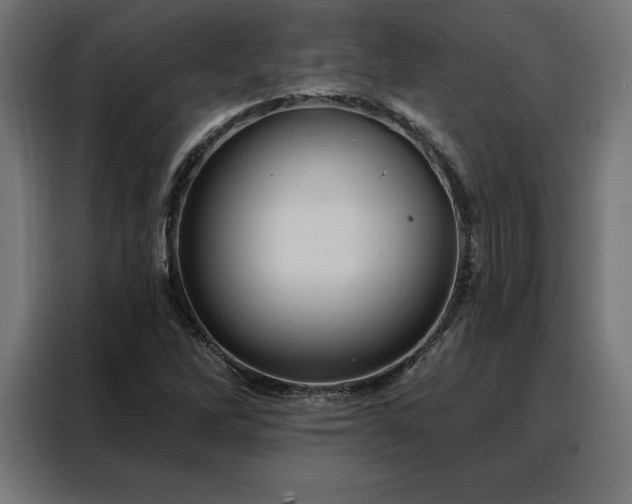 X0000088161262200705221553
