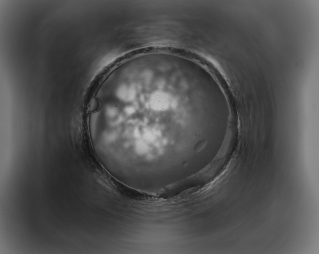 X0000088161263200705221553