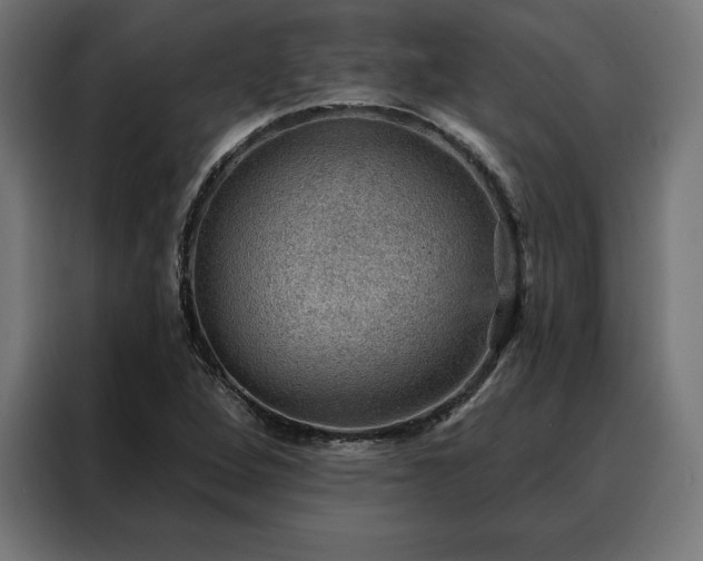 X0000088161264200705221553