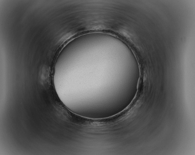 X0000088161265200705221553