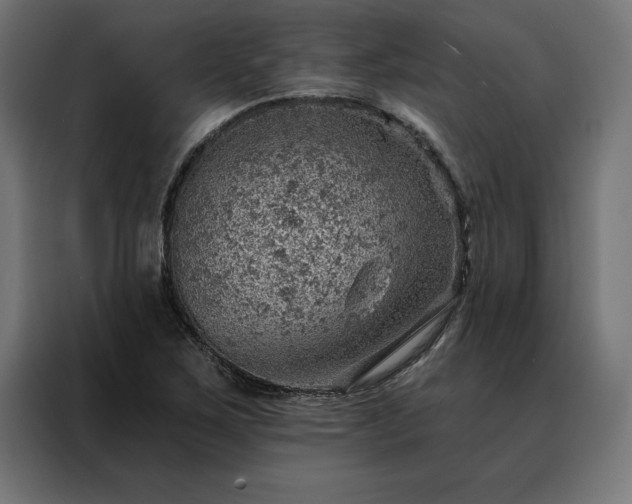 X0000088161267200705221553