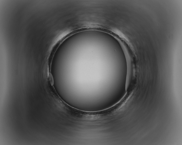 X0000088161269200705221553
