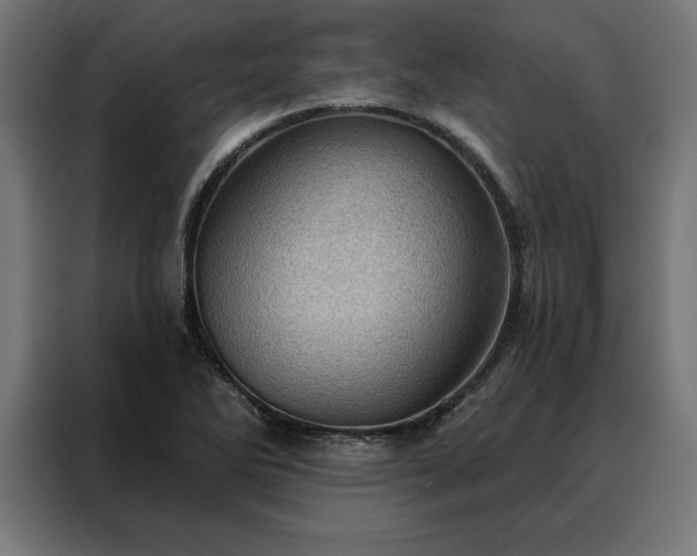X0000088161270200705221553