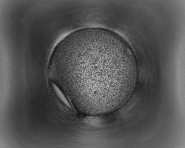 X0000088161271200705221553