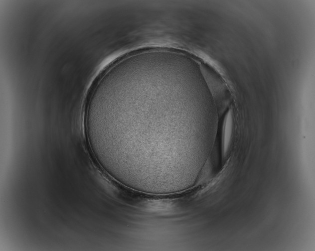 X0000088161272200705221553